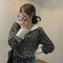 벌룬플라워 이미지