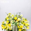 샤론화원 이미지