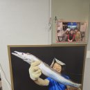 우정횟집 | 부산 사상구 주례동맛집 우정횟집 방문후기!