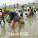 고은이네 가족농장 이미지
