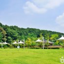 충청북도 청주시 이미지