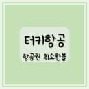 투어비스_항공