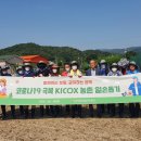 한국산업
