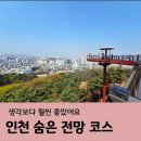 수봉카페 | 인천 수봉공원 스카이워크 방문후기, 주차, 근처 카페까지 완벽 코스