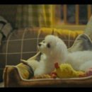 설탕하우스
