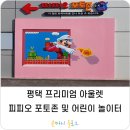 피피오