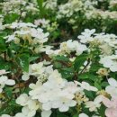 대부노래연습장 이미지