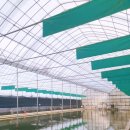 시동유정낚시터 이미지