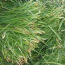 독천낭주골 이미지