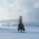 월드카써비스 | 삿포로 비에이 렌트카 삿포로 여행 코스 눈길 운전 후기