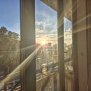 서울이태원초등학교 | 한남동 이태원 맛집 페트라 PETRA 녹사평 데이트 추천 (주차 홈무스 팔라펠 메뉴추천)