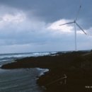 제주머물다 이미지