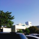 쉴띠펜션 | 배 타고 다녀온 제주도 여행 (첫째, 둘째 날)
