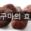 고구마짐 이미지