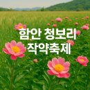 함안 청보리 작약축제 일정부터 관람 팁까지