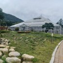 인제03-3 이미지