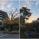 현 피트니스 | 파라스파라 (현 안토)의 퍼스널컬러는 가을 :: 캐빈 객실, 단풍뷰, 수영장, 자쿠지, 헬스장 피트니스