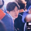 Barefaced 이미지