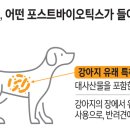 이지메디 이미지