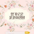 향남 문화의 집 이미지