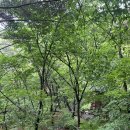 영인산 입구 ~ 영인산휴양림 주차장 | 천안아산 가볼만한곳 나들이장소 추천 &#39;영인산 자연휴양림, 영인산 수목원, 영인산 산림박물관&#39;