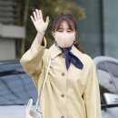 금손 이미지