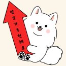 주식회사 지키미 | 강아지 관절 건강 지키미 [국개대표 &#39;올바른끼니 관절건강사료&#39;]