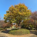 어연진료소 이미지