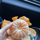 동홍힐링사우나 이미지