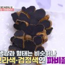 텍토