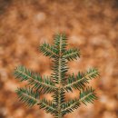 생활영어회화(주말/원어민) 이미지