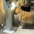 최씨네칼국수 | 나에게로 떠나는 여행