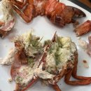 통큰동호네