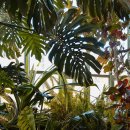 조경기능사 실기과정 이미지