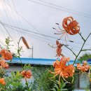 대현농장 이미지