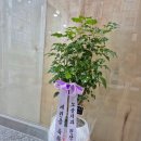 군산드림약국 이미지