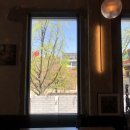 씨제이올리브영(주) 부산애플아울렛점 | 명동 고옥 빈티지 카페 더스팟패뷸러스 치즈바스크 맛집 Plus 애플워치SE 개봉 후기