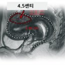 경희온한의원 이미지