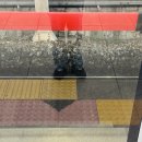 은행나무한의원 | 11월 3주차 일상 - 가을즐기기, 성수동 놀러가기(뚱마카세!!)