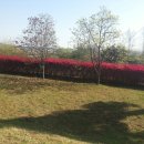 강화전쟁박물관 이미지