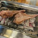 양고기연구소 이미지