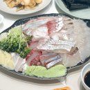 활어회시장원당점 | 노량진 횟집 한점 제철 도다리 모듬회 가성비 대박 추천