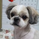 똘이살롱 이미지