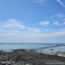 진진밥고리 청라본점 | 제주도2박3일 여행코스 🏖여름휴가 맛집+카페+핫플모음