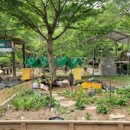 포레스트가든 이미지