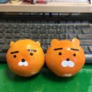 뿅가곱창 - 강릉시 관대길 63 | 뿅가곱창