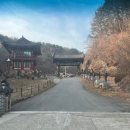 자연속에서-산 | 경주 골굴사 선무도 다녀온 후기｜자연 속에서 만난 특별한 사찰 여행