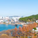 괴강관광지 야외음악당 | 아산가볼만한곳 신정호수 겨울여행지추천 걷기좋은길