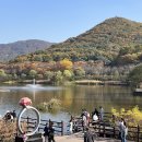 힐링섬 코스 이미지