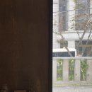 땡스땡스